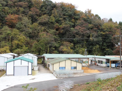 菌床椎茸榾木センター