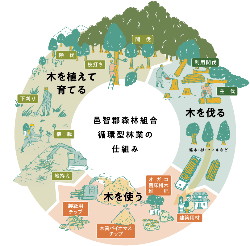 循環型林業の仕組み